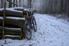 Zimowy rower (22.12.2007)